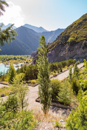 A lush, green landscape featuring a winding pathway amidst a dense collection of trees. The background showcases a stunning mountain range with steep, rugged slopes. A clear blue sky above contrasts with the various shades of green present in the foliage. A serene lake is partially visible, reflecting the surrounding natural beauty.