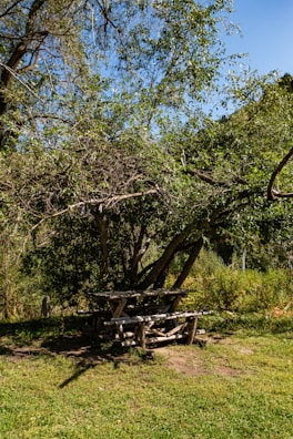 A beautifully crafted picnic bench in a sunny park.