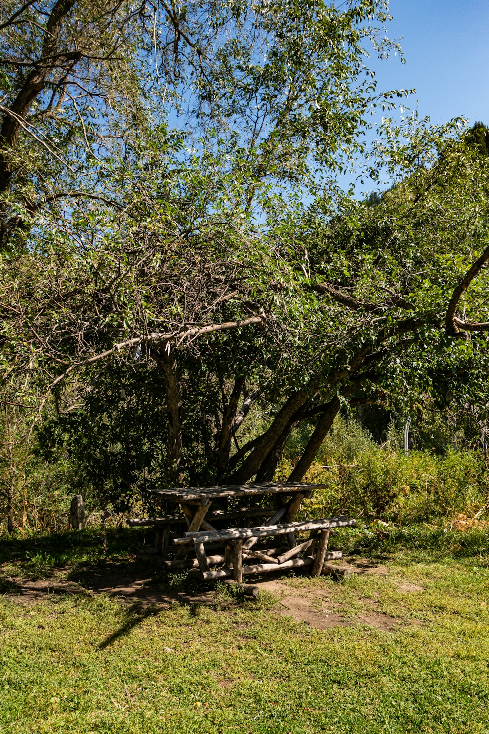 a picnic table in the middle of a field