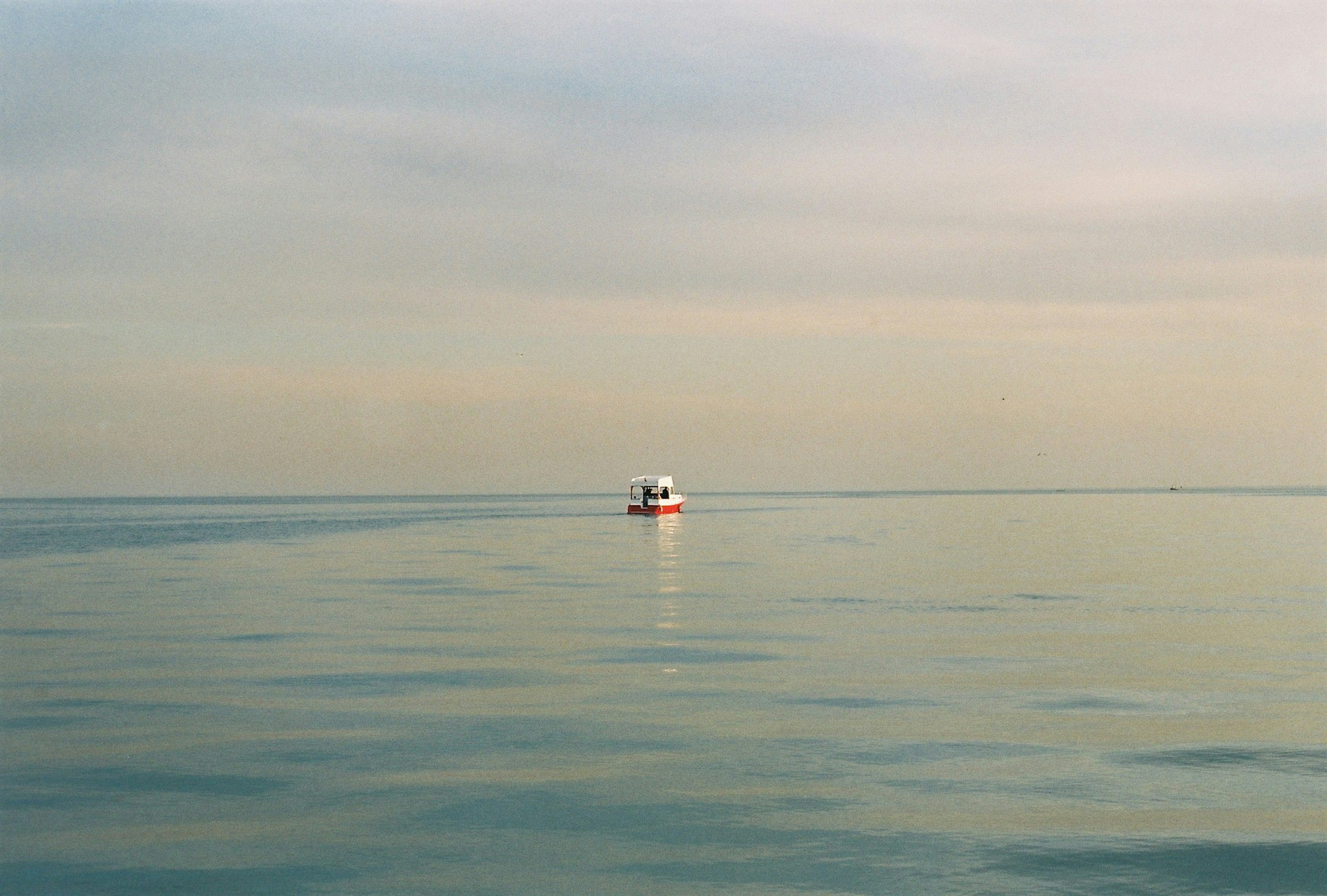 Photo by burcubircan