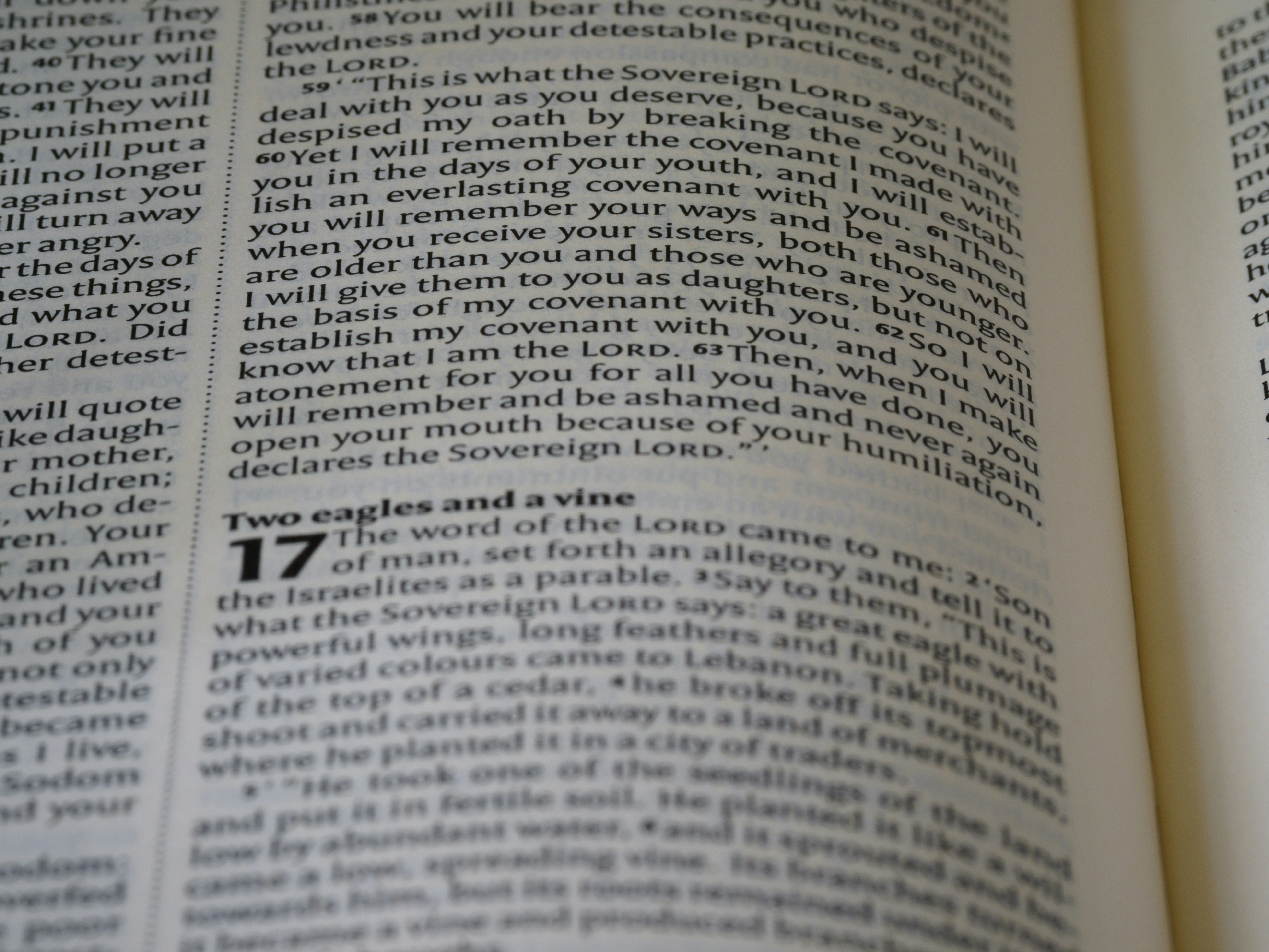 Photo by brett_jordan