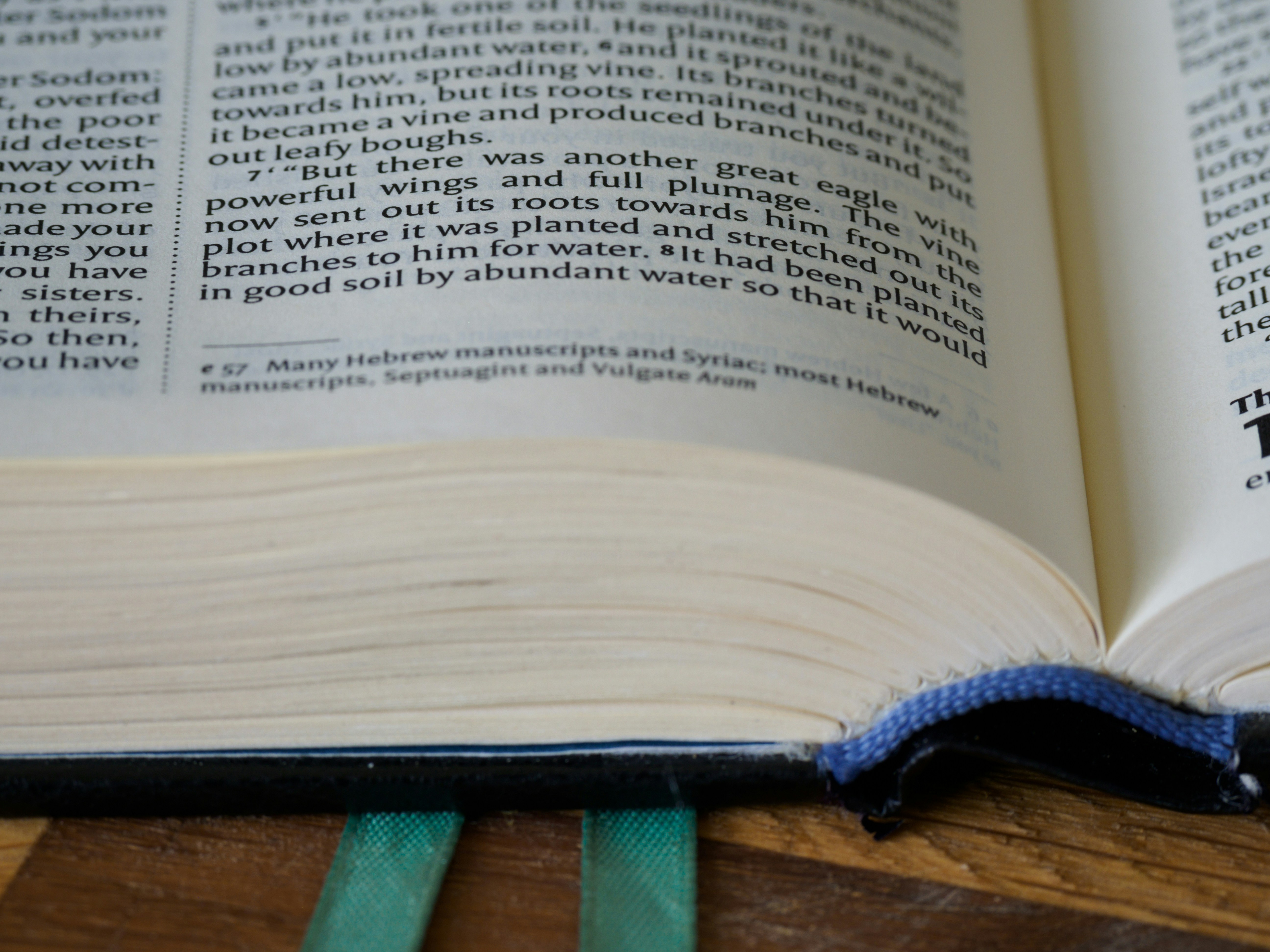 Photo by brett_jordan