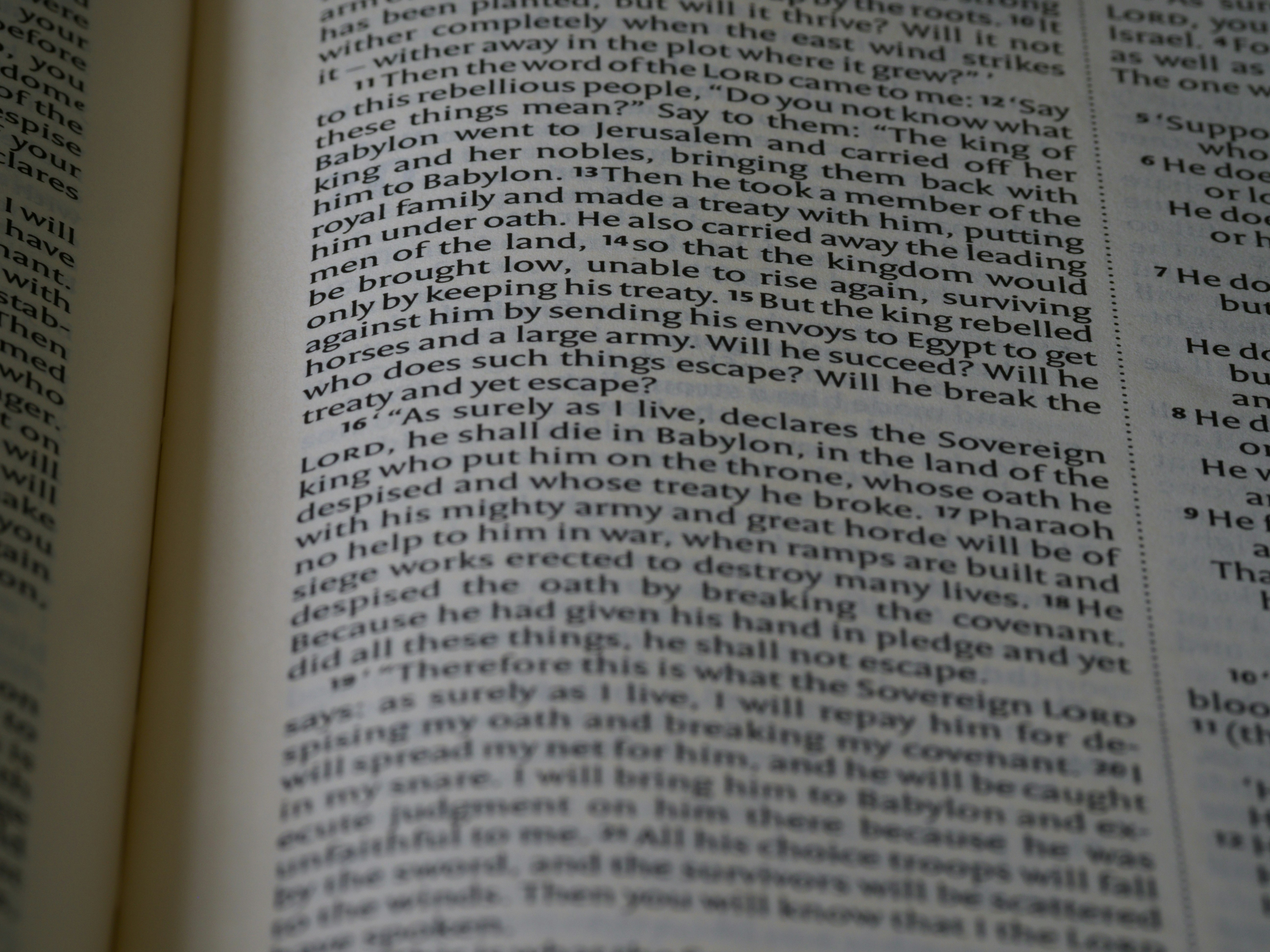 Photo by brett_jordan