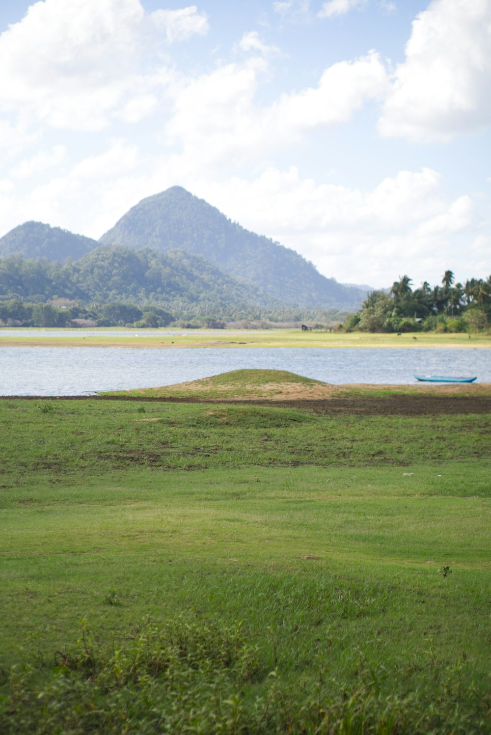 a large body of water sitting next to a lush green field