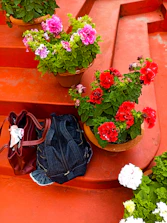 A variety of colorful flower pots and rich potting soil bags displayed neatly.