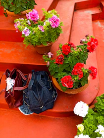 A variety of colorful flower pots and rich potting soil bags displayed neatly.