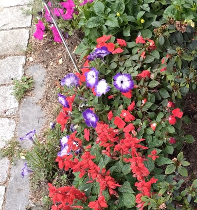 A vibrant front yard featuring colorful flower beds and a winding stone path.