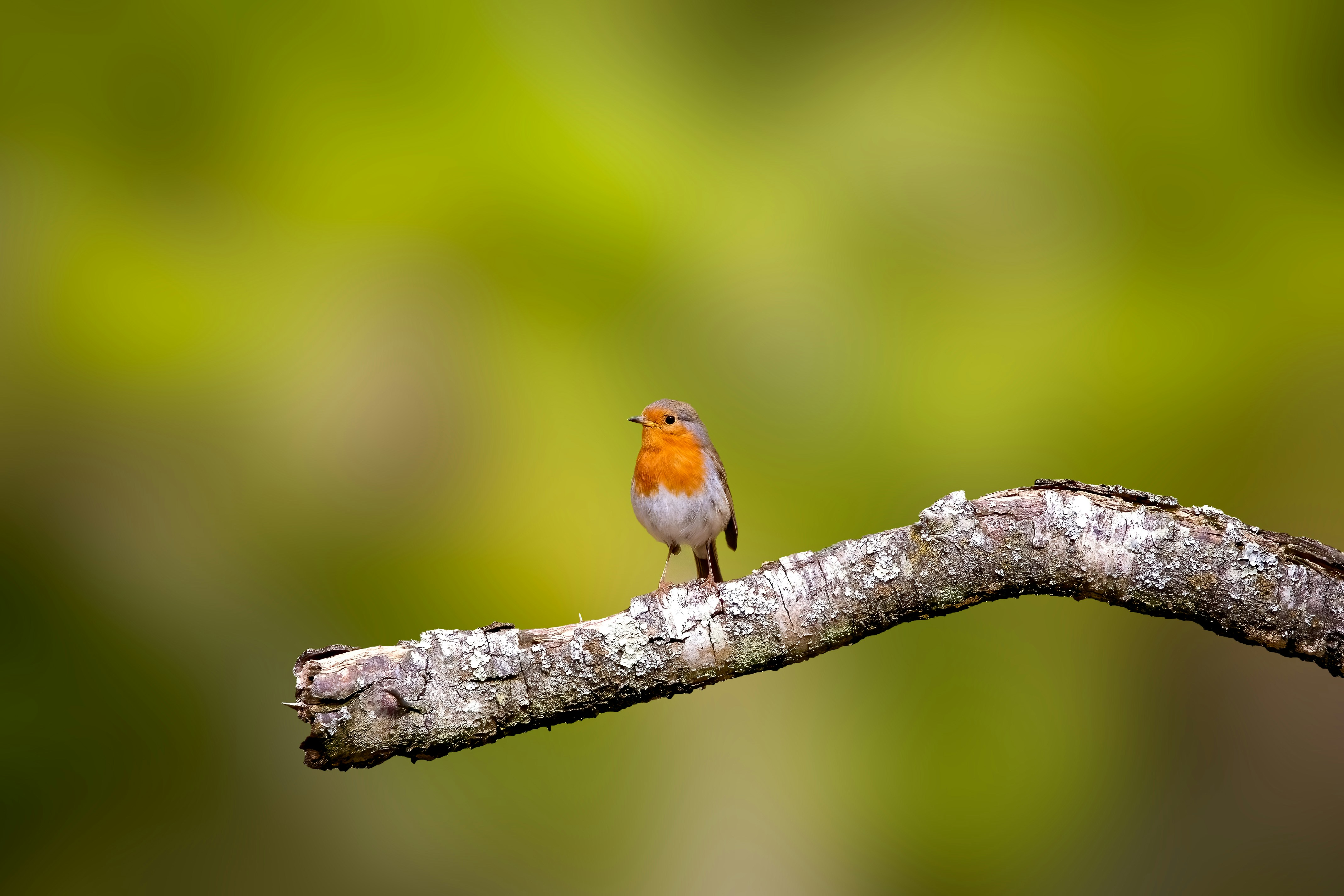 Photo by hampshireprints