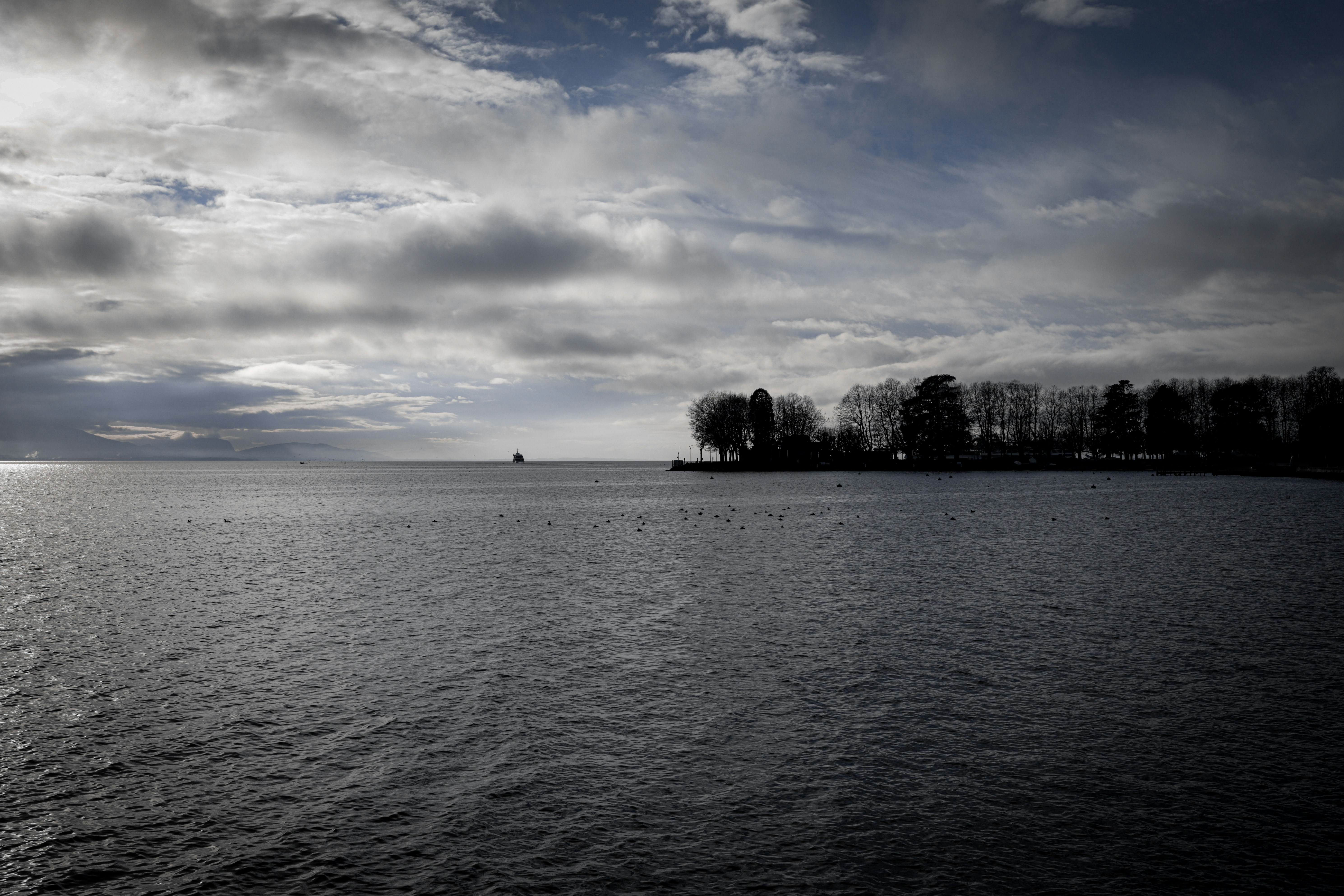 Photo by andysong1023