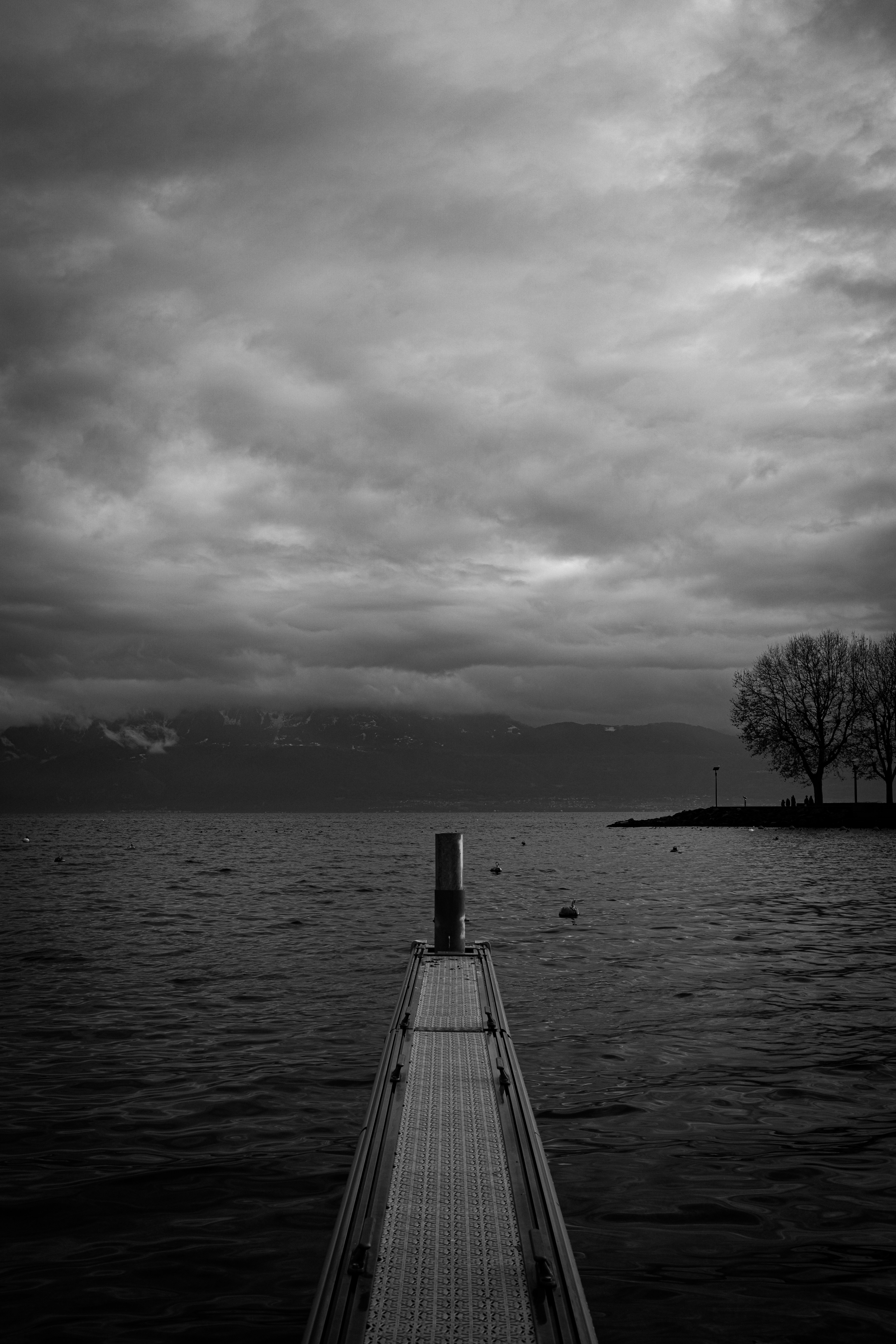 Photo by andysong1023