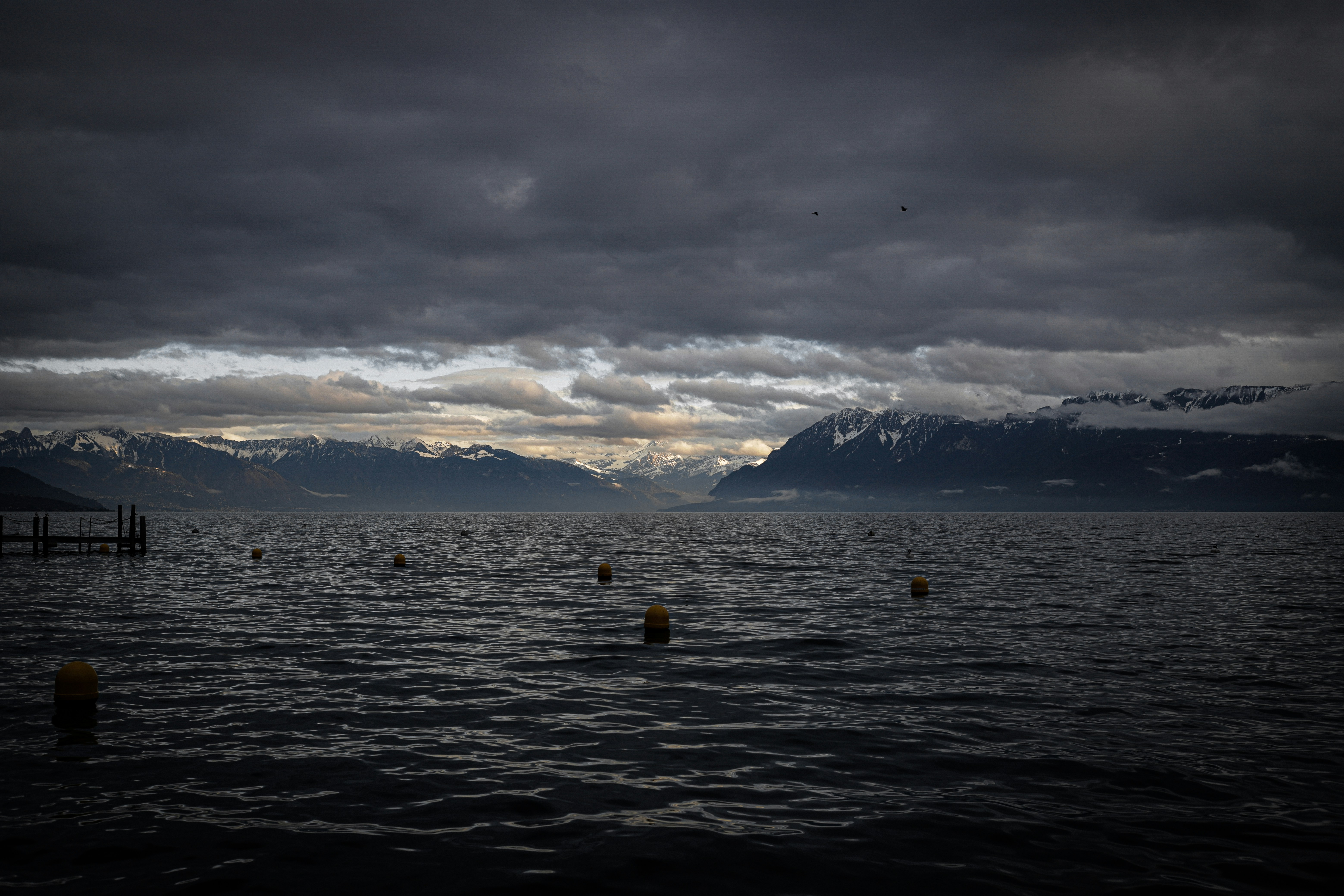 Photo by andysong1023