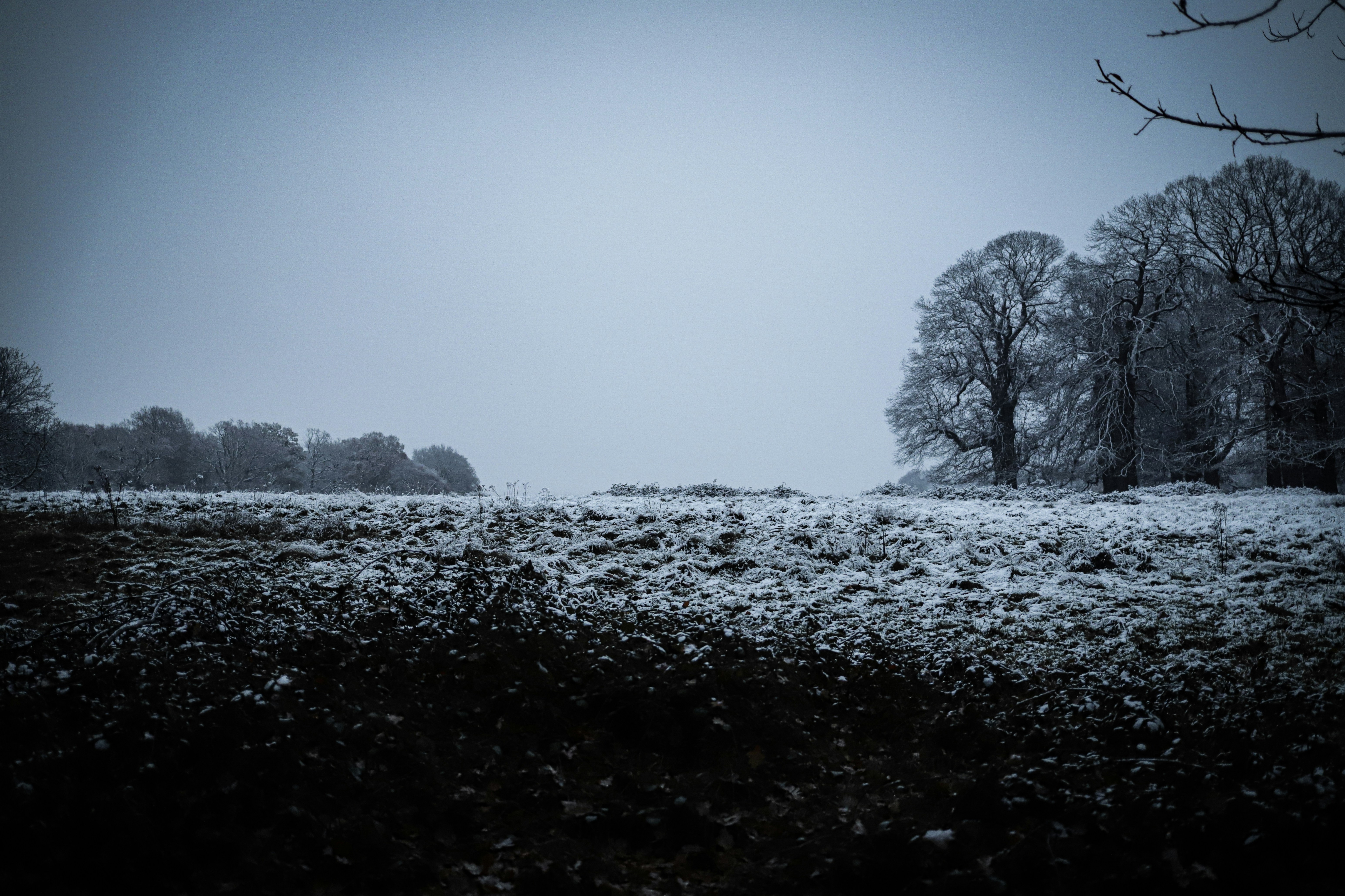 Photo by andysong1023