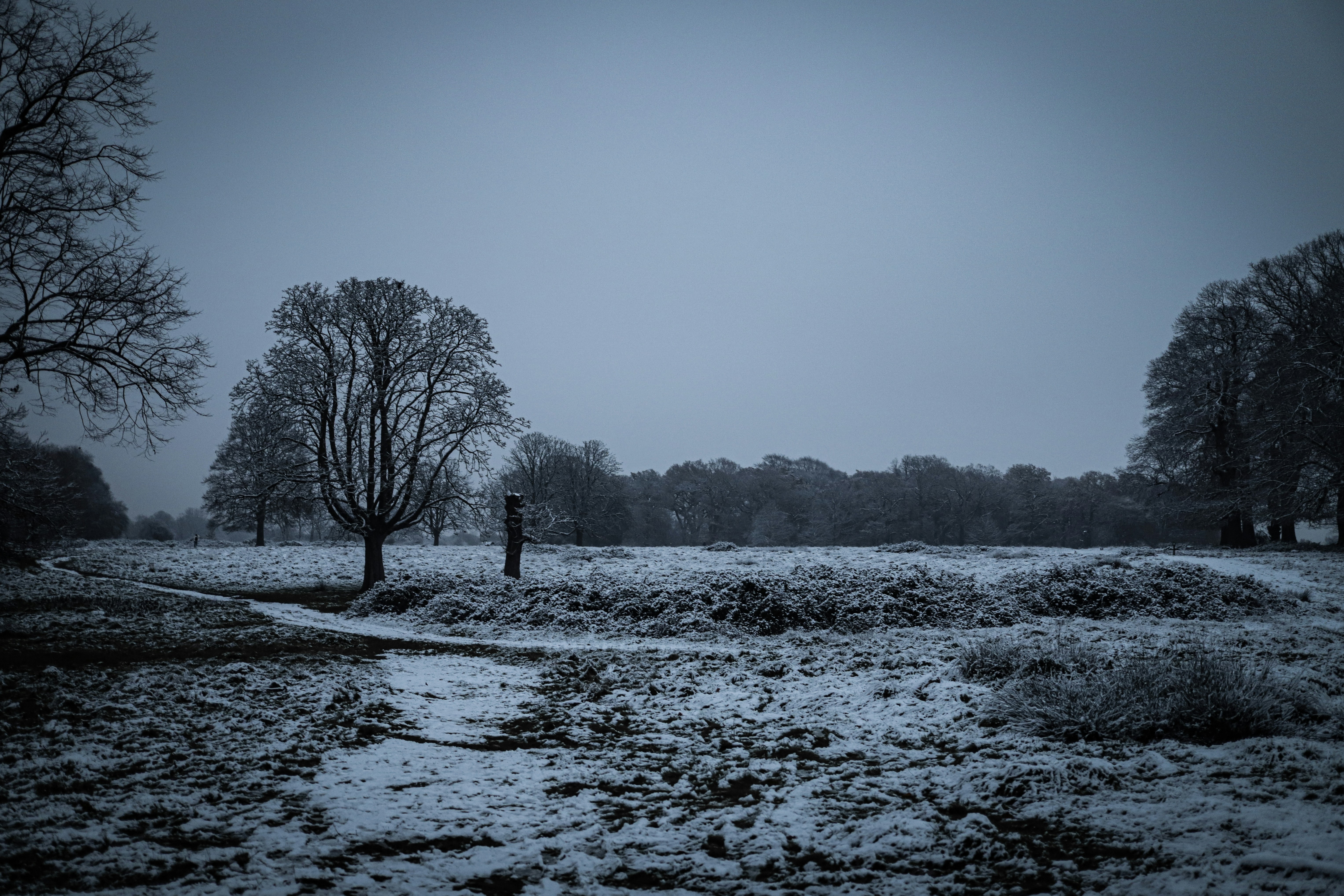 Photo by andysong1023