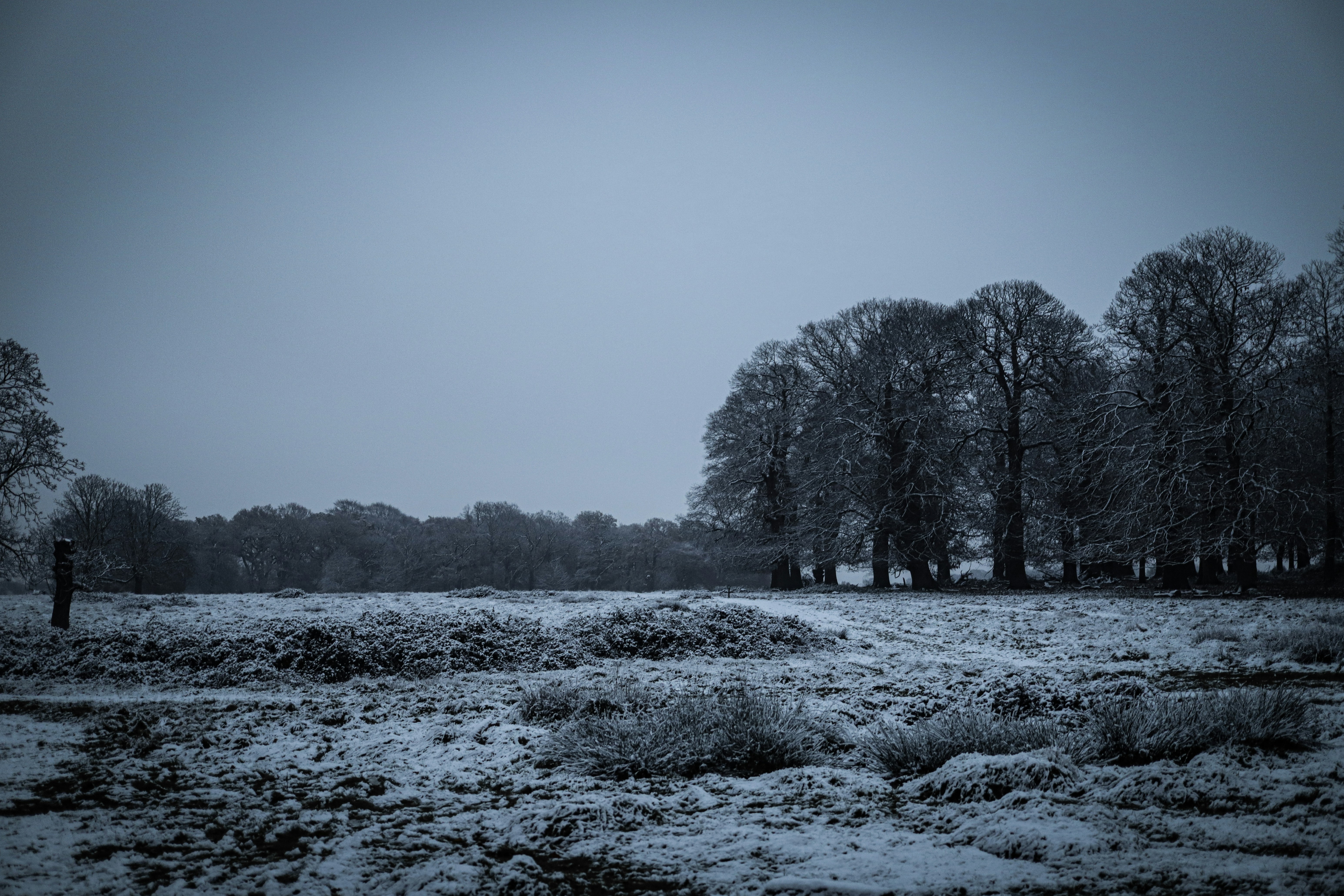 Photo by andysong1023