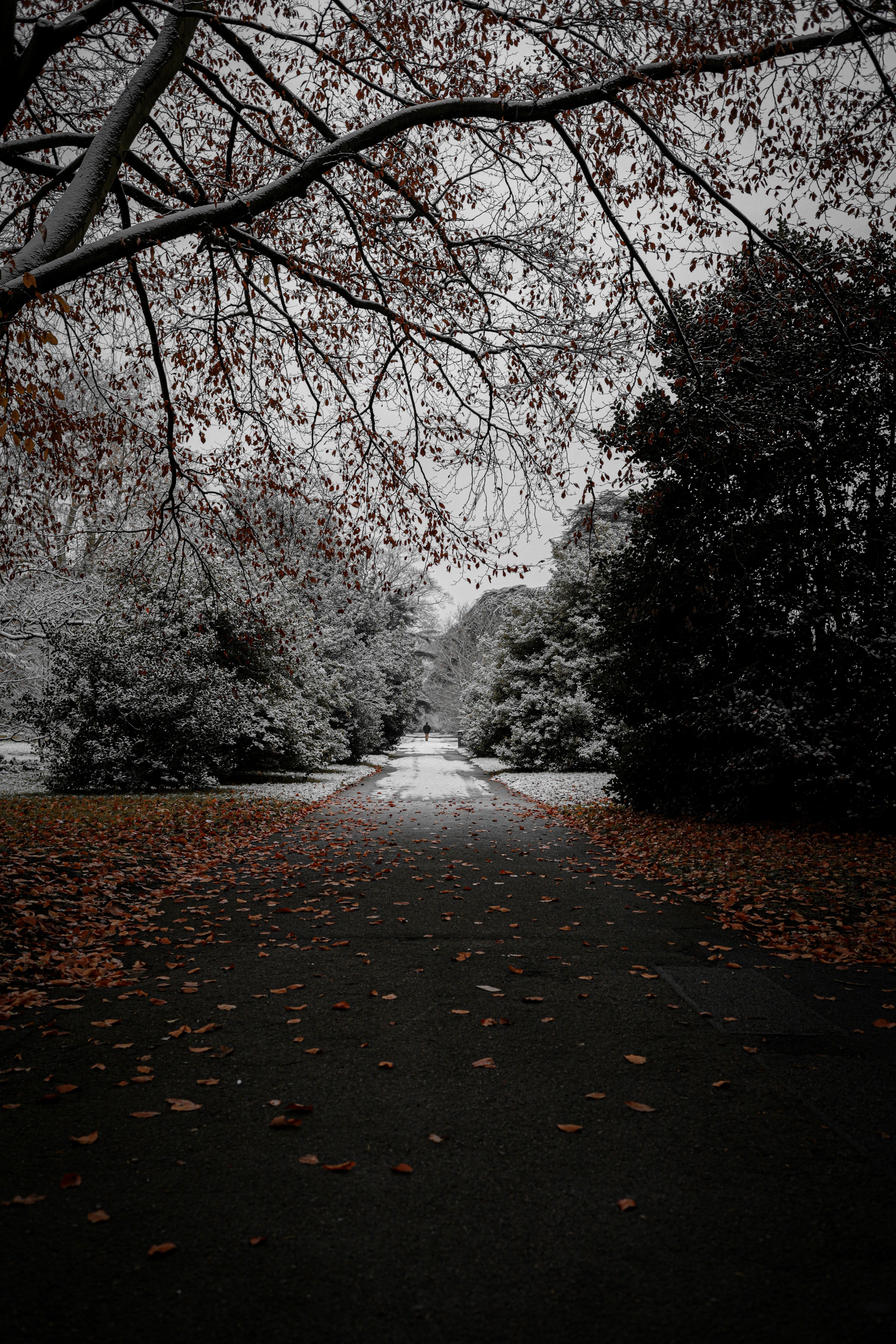 Photo by andysong1023