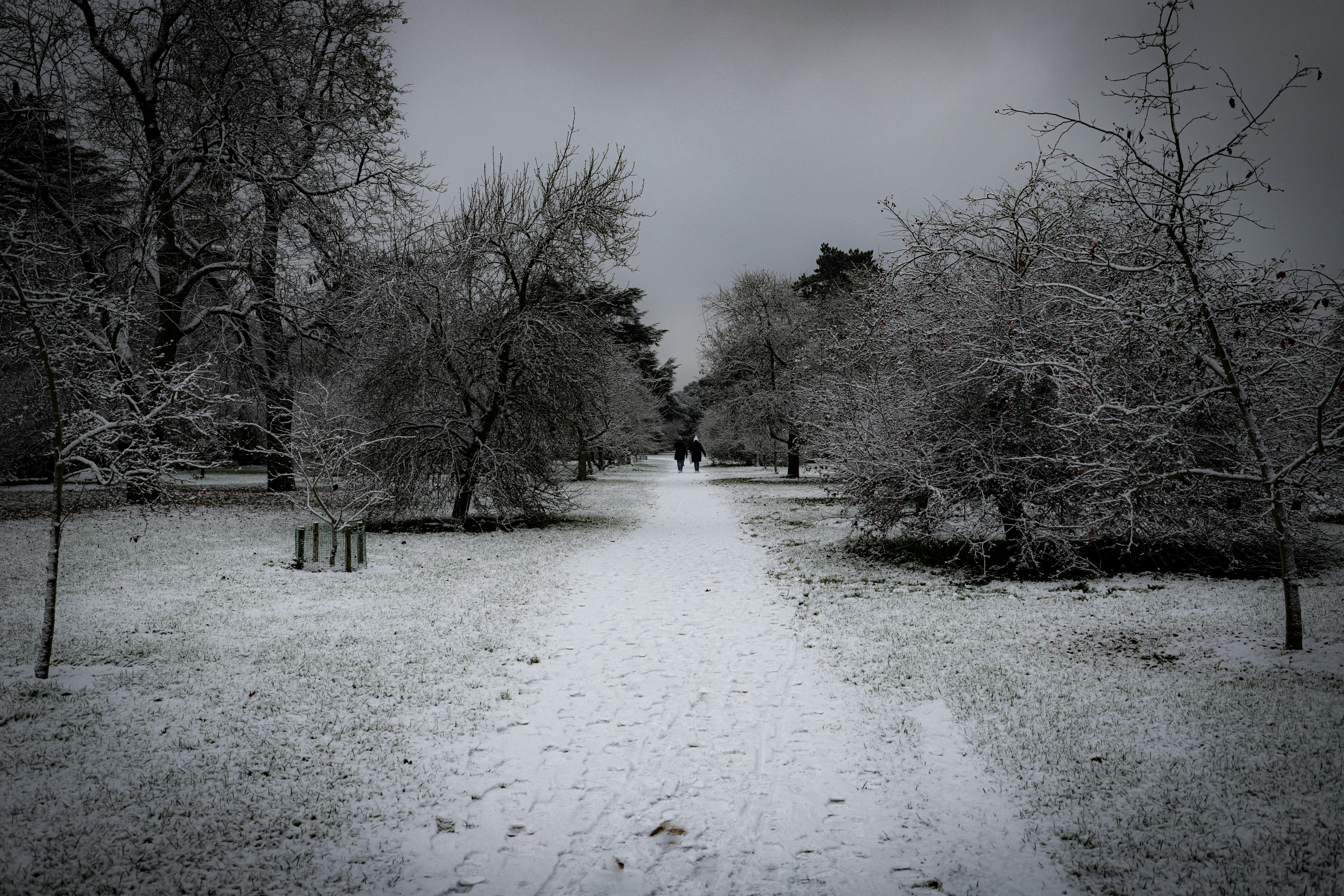 Photo by andysong1023