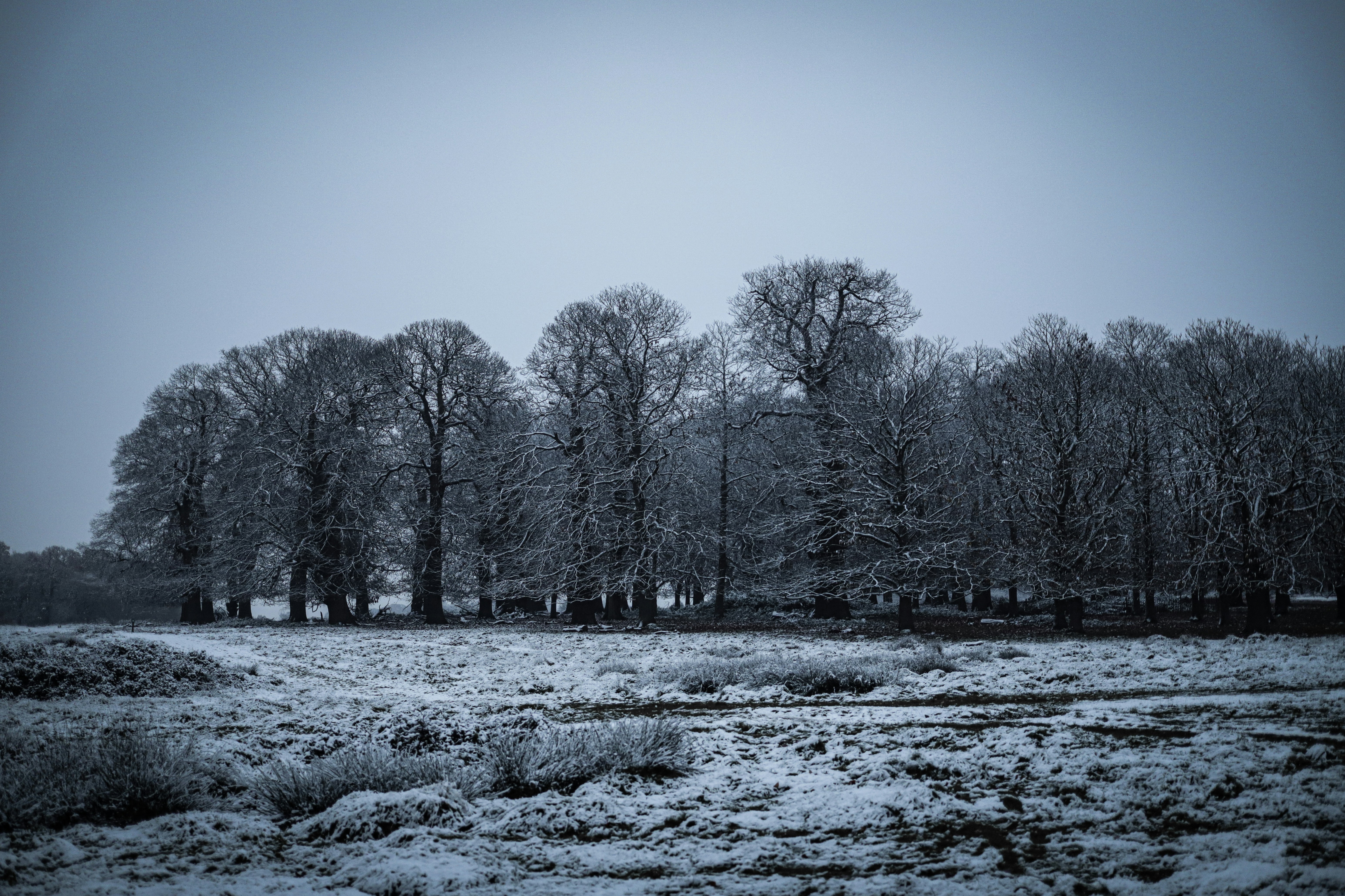 Photo by andysong1023