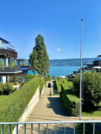 A serene green residential plot with concrete roads and gated community entrance.