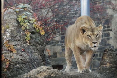 Philadelphia Zoo