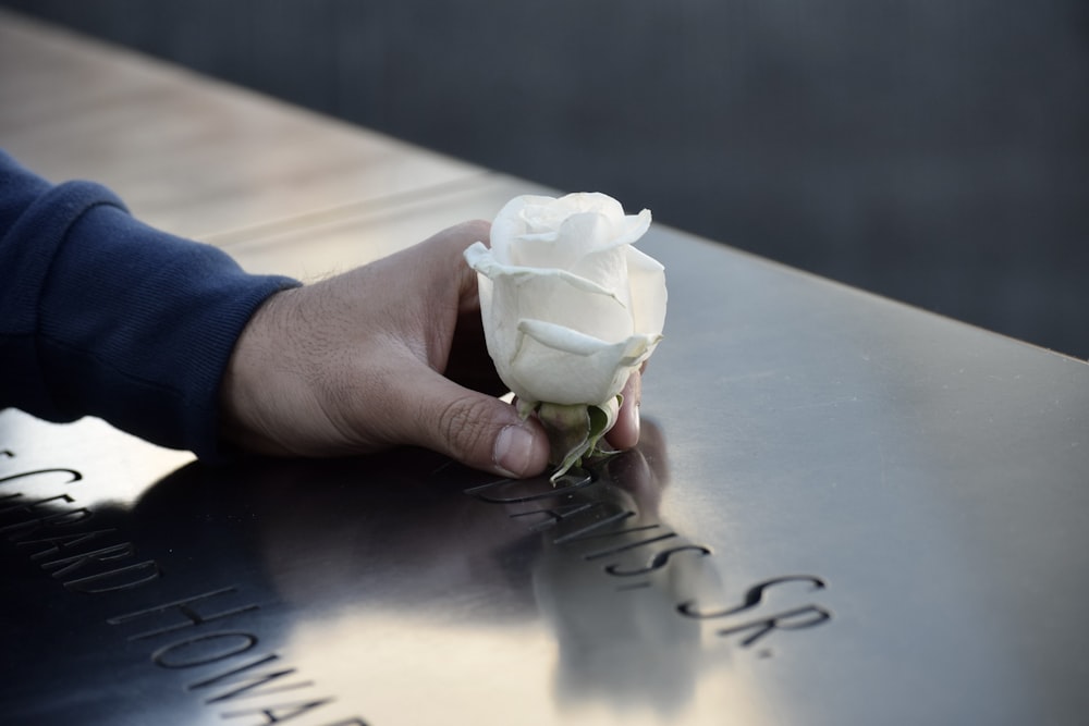 a person placing a white rose on a memorial