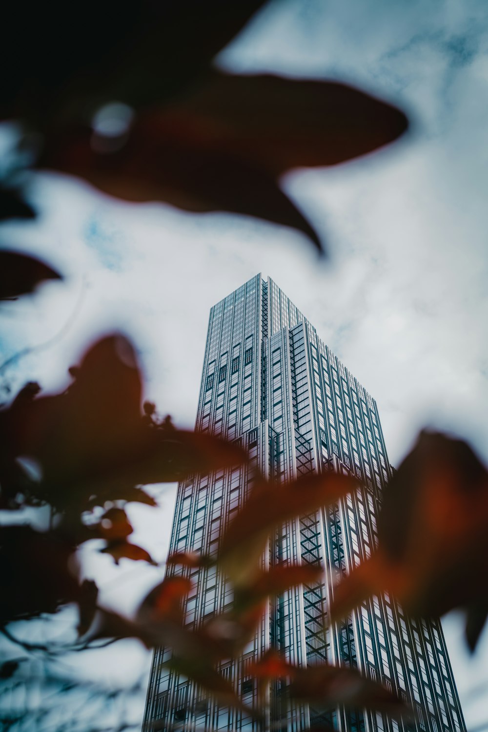 a tall building is seen through the leaves of a tree