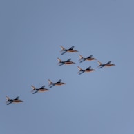Eight jet aircraft fly in formation against a clear blue sky. The planes are dark with orange underbellies and distinct markings on their tails. The aircraft appear to be part of an aerobatic display team, flying with precision.