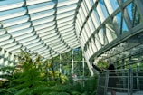 A spacious greenhouse with a large glass roof and walls letting in natural light. Inside, lush green ferns and various plants thrive. A person stands at a podium, possibly giving a presentation or conducting a tour.