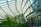 A spacious greenhouse with a large glass roof and walls letting in natural light. Inside, lush green ferns and various plants thrive. A person stands at a podium, possibly giving a presentation or conducting a tour.