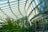 A spacious greenhouse with a large glass roof and walls letting in natural light. Inside, lush green ferns and various plants thrive. A person stands at a podium, possibly giving a presentation or conducting a tour.