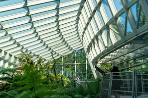 A spacious greenhouse with a large glass roof and walls letting in natural light. Inside, lush green ferns and various plants thrive. A person stands at a podium, possibly giving a presentation or conducting a tour.