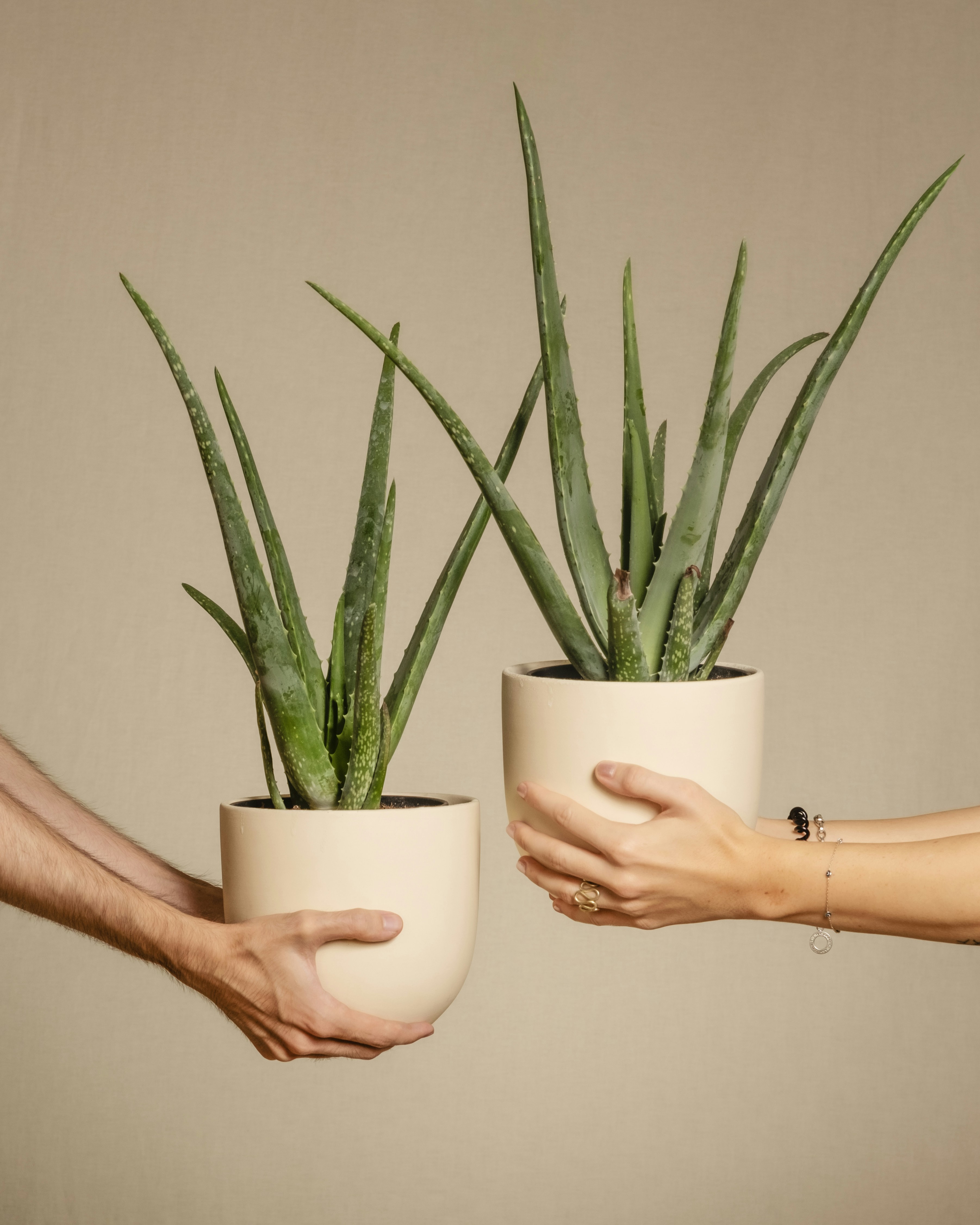 Photo by feeypflanzen