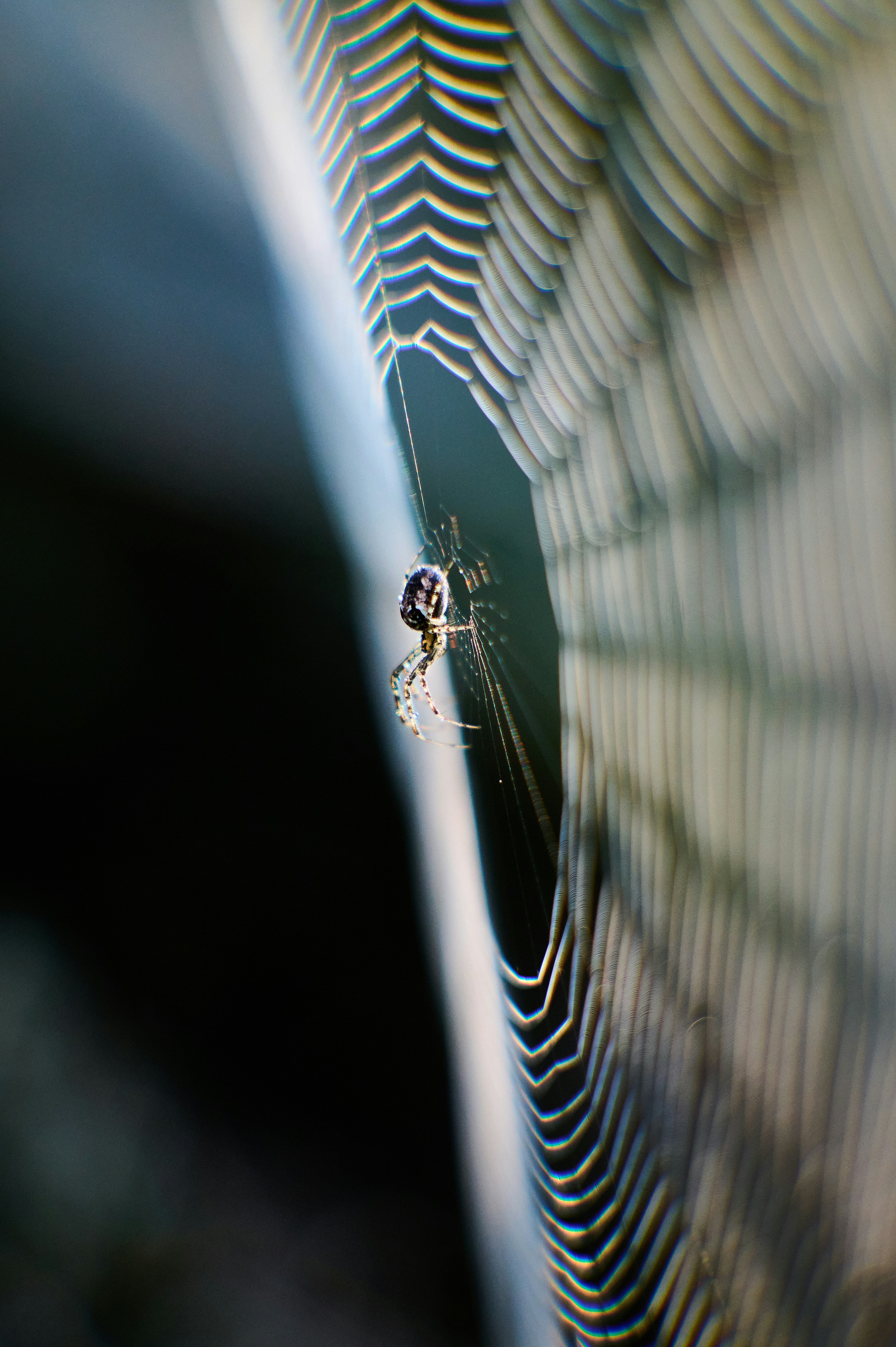 Photo by stefanschwinghammer