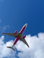 An airplane with a bright pink belly and wing accents flies overhead against a vibrant blue sky. The Brazilian flag is prominently displayed on the lower fuselage. Fluffy white clouds are scattered in the background, adding contrast to the scene.