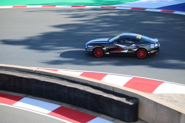 A sports car with a dark body and red wheels is racing on a track with red and white curbs. The track shows green and blue areas beyond the pavement. The car is branded with 'MASTER DRIVE' on its side.