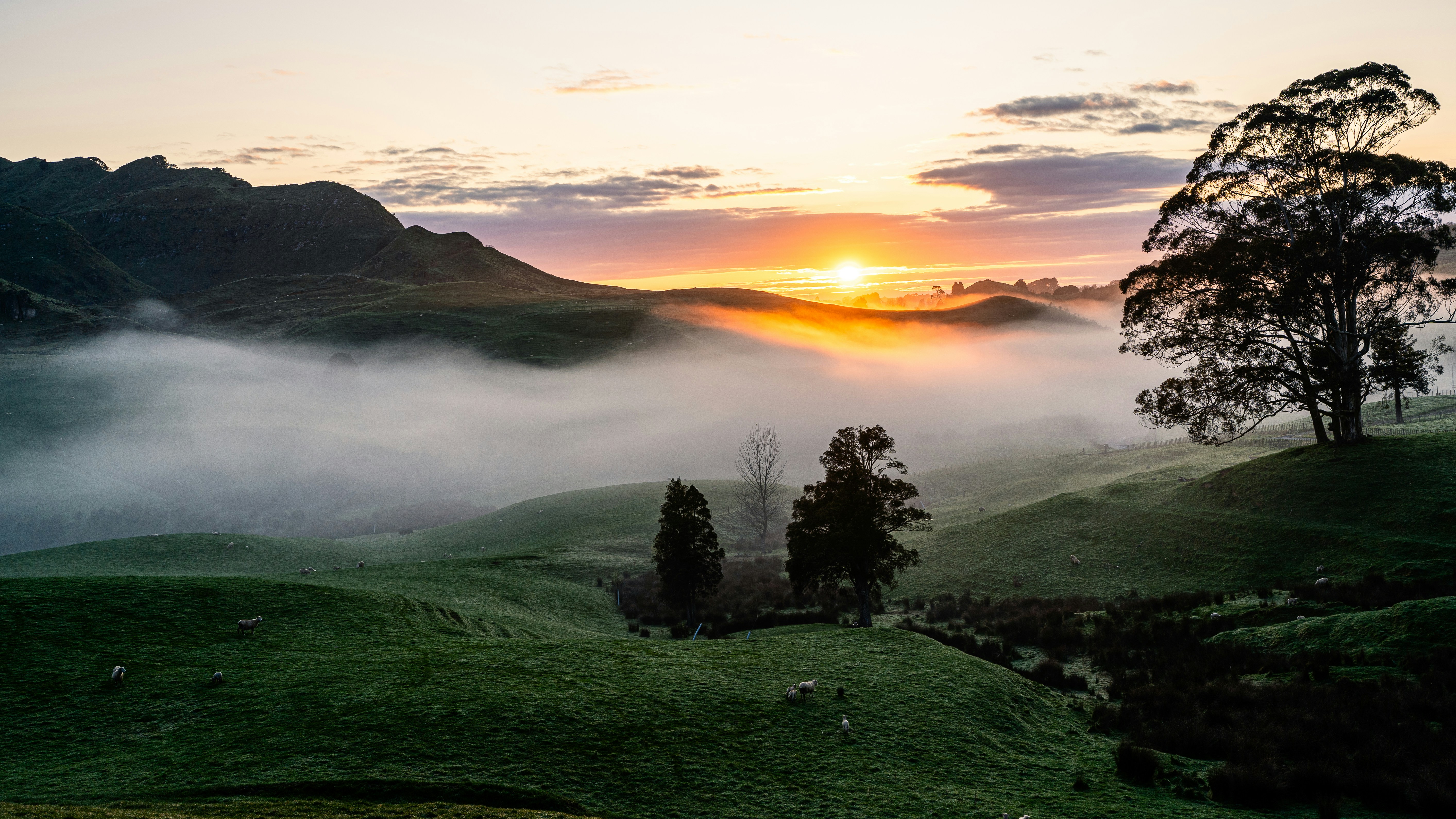 Awaken Your Potential