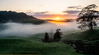 A serene landscape featuring a sunrise over lush greenery, symbolizing hope and new beginnings in health.