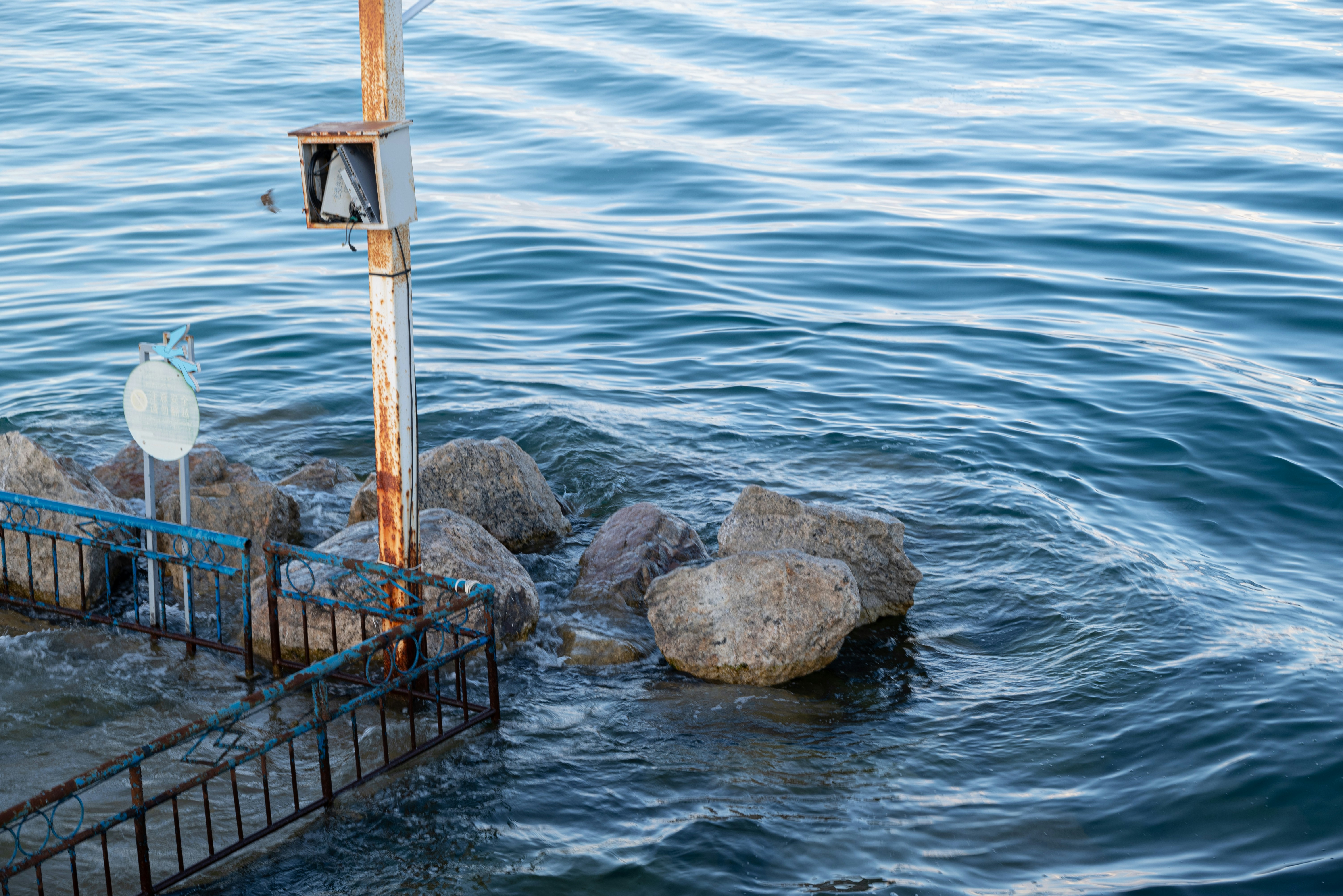 Photo by nikol_royce