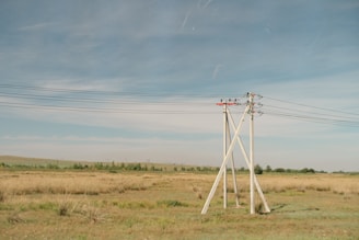 A rural landscape featuring several tall electricity poles with wires stretching horizontally across a grassland. The land appears dry with patches of grass and a few distant trees under a clear blue sky.