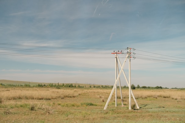 A rural landscape featuring several tall electricity poles with wires stretching horizontally across a grassland. The land appears dry with patches of grass and a few distant trees under a clear blue sky.
