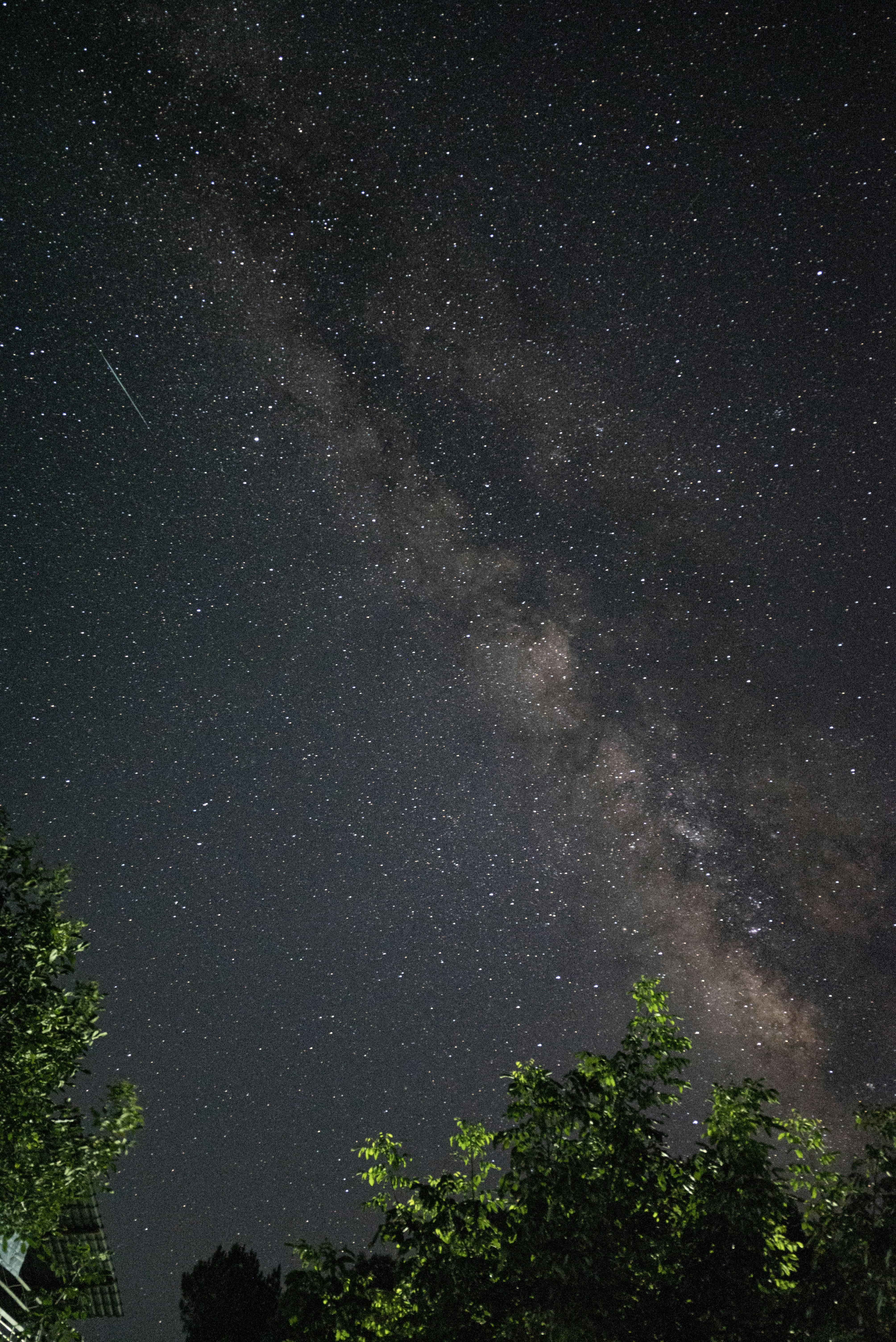 Photo by nikol_royce