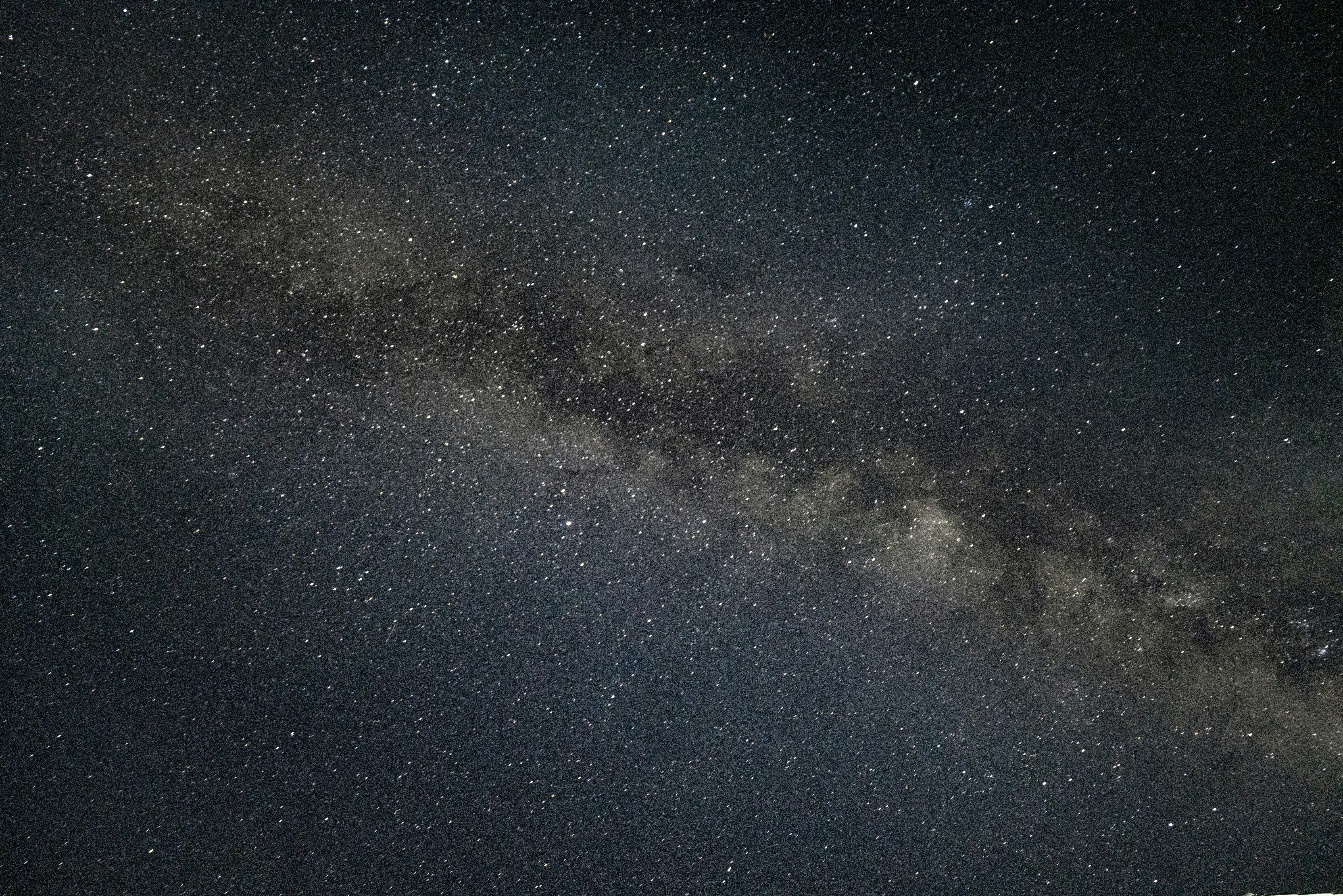 Photo by nikol_royce