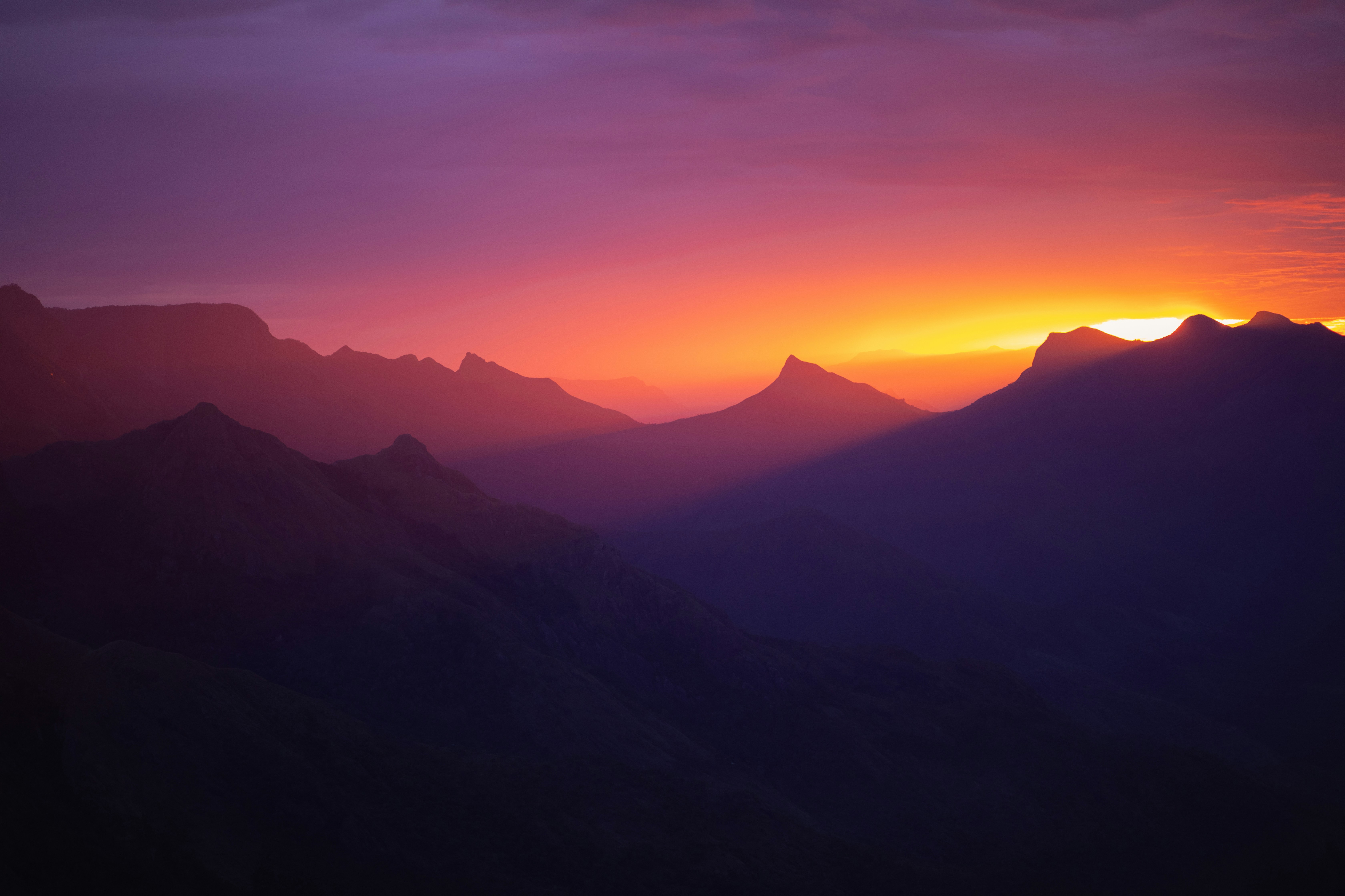 Photo by calypso_cam_