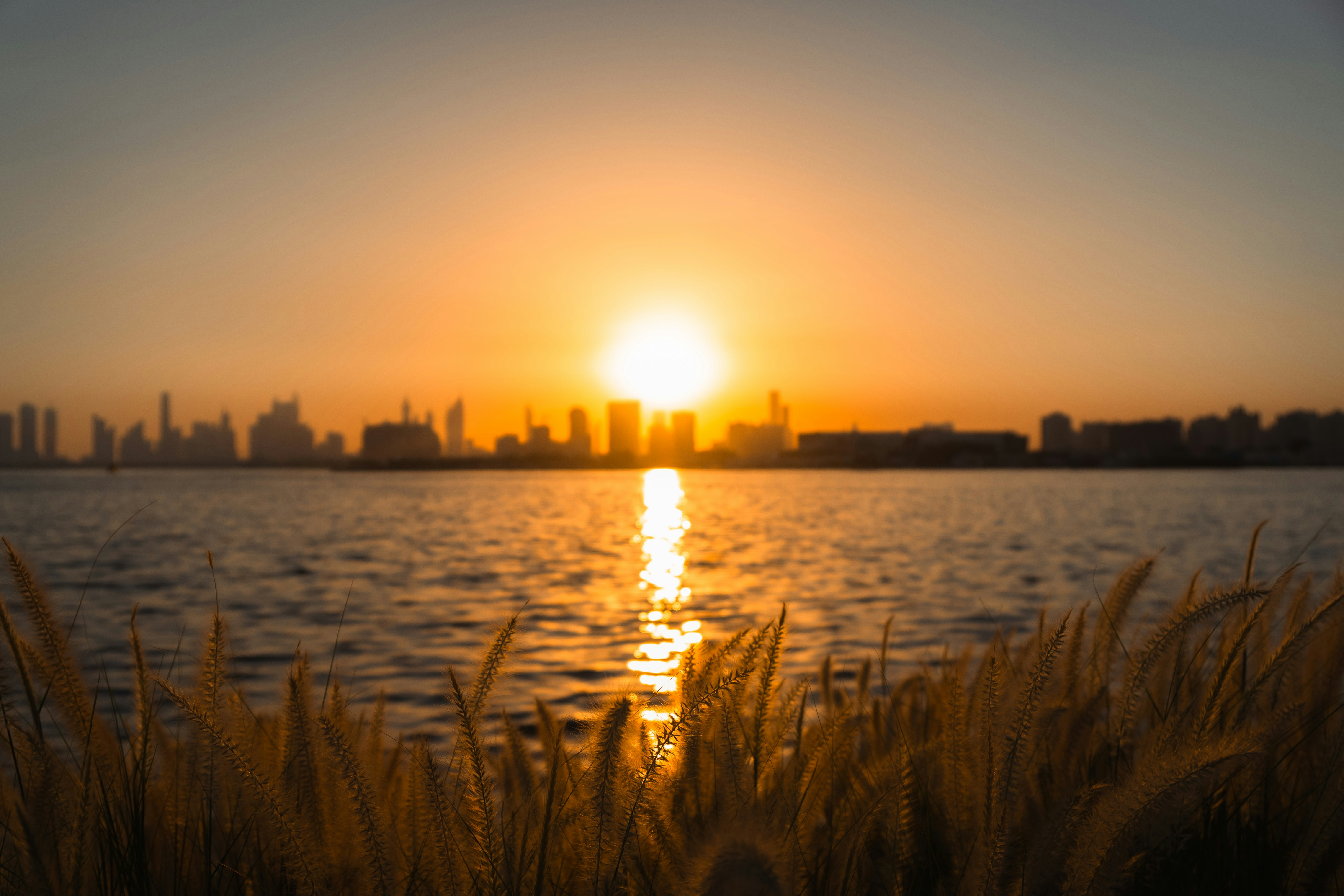 Photo by itadakidesu