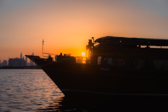 A boat silhouetted against a vibrant orange sunset with whales visible in the distance.