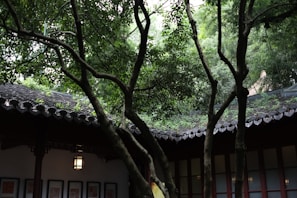 Umair photographing a quiet courtyard surrounded by ancient arches and lush greenery
