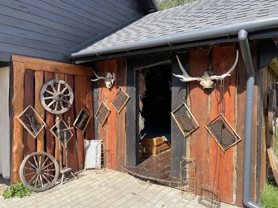 A rustic exterior of a building featuring wooden panels and various rustic decorations. Two wagon wheels are mounted on the wall alongside rectangular wooden frames filled with soil or moss. Animal skulls with large horns are displayed, adding to the rustic theme. The environment is lit by sunlight, and there's a stone pavement leading up to the open wooden door.