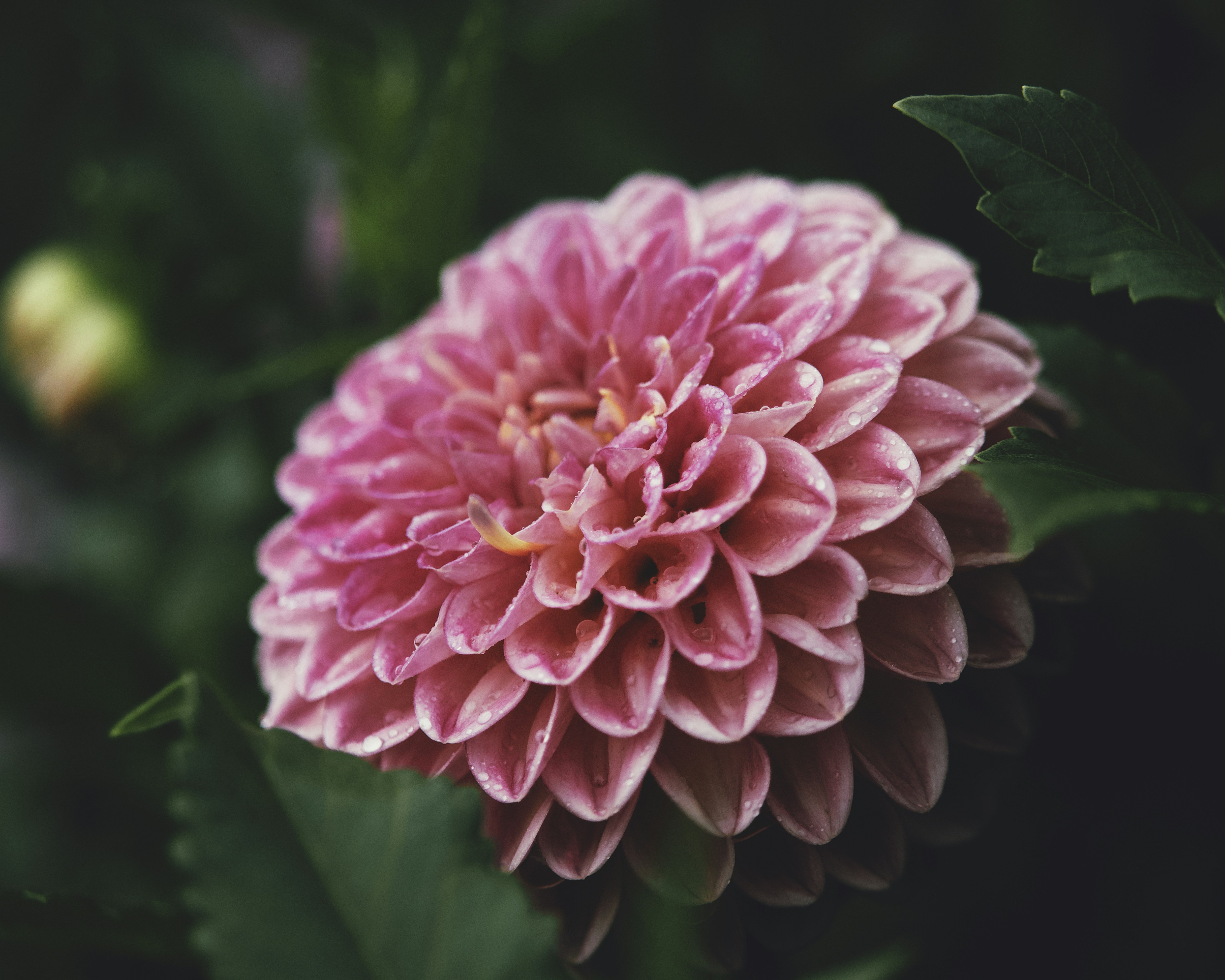 Photo by aaronburden