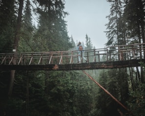 A person with a backpack is walking across a wooden bridge in a dense forest. Tall trees surround the area, creating a lush and immersive natural environment. The sky appears overcast, and the surroundings have a slight mist or rain, adding to the serene yet adventurous setting.