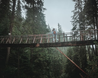 A person with a backpack is walking across a wooden bridge in a dense forest. Tall trees surround the area, creating a lush and immersive natural environment. The sky appears overcast, and the surroundings have a slight mist or rain, adding to the serene yet adventurous setting.
