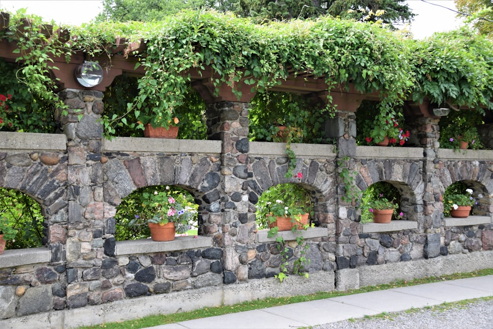 a stone wall with potted plants on it